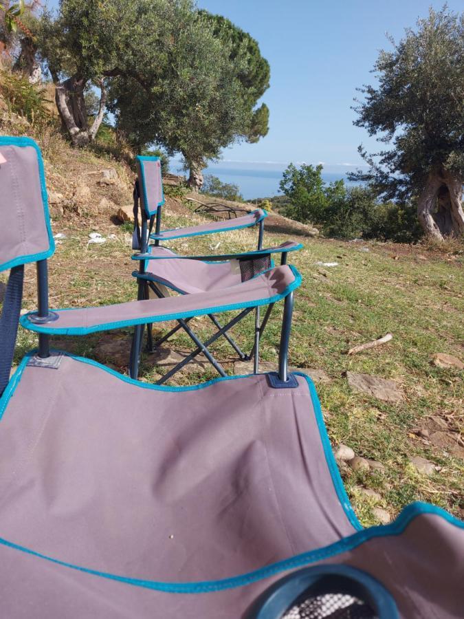 Terre Di Bed & Breakfast